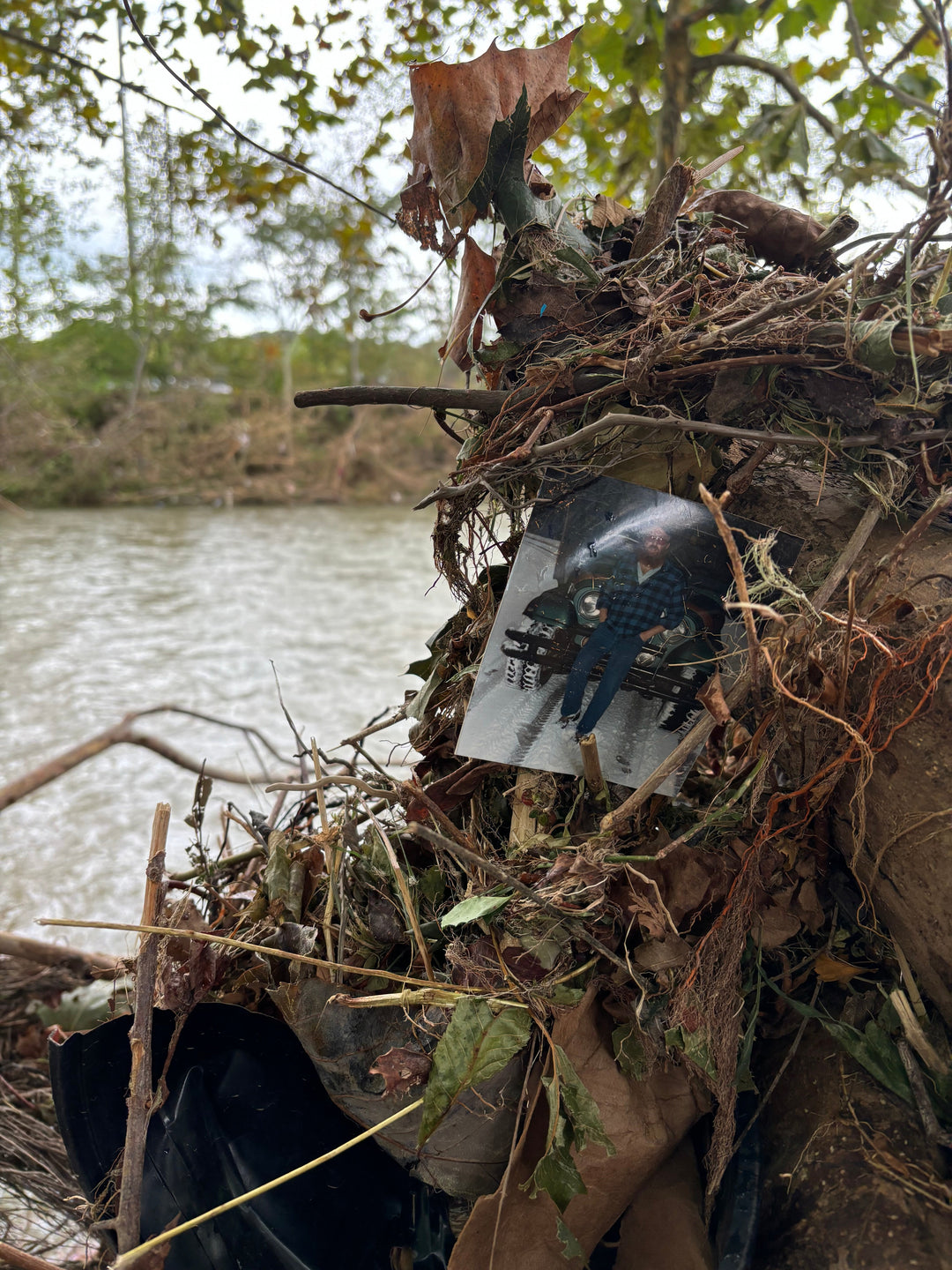 The State of North Carolina Trout Post-Helene