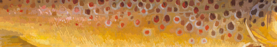 2024 Catch Cam Net Handles