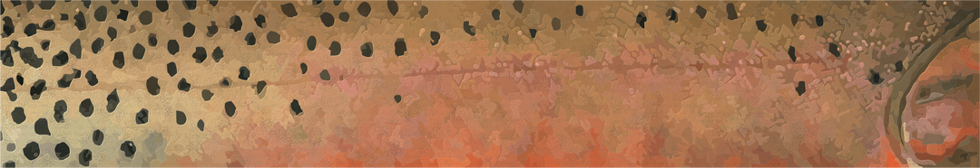 2024 Catch Cam Net Handles